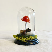 Load image into Gallery viewer, Forest Floor Terrarium Cloche