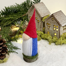 Load image into Gallery viewer, Aerin, The Elder Gnome