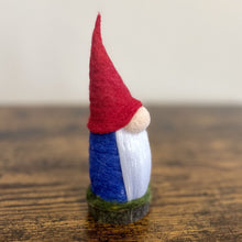 Load image into Gallery viewer, Aerin, The Elder Gnome