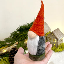 Load image into Gallery viewer, Hafsa, The Underground Gnome