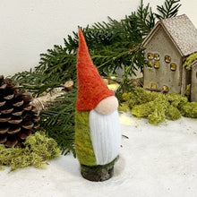 Load image into Gallery viewer, Naos, the Gnome of the Ancient Knowledge