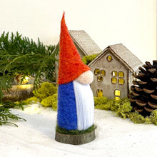 Load image into Gallery viewer, Trygg, The Traditional Gnome