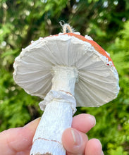 Load image into Gallery viewer, Amanita Muscaria Toadstool Ornament