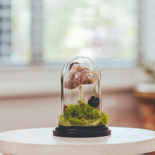 Load image into Gallery viewer, Forest Floor Terrarium Cloche