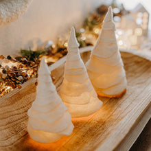 Load image into Gallery viewer, Winter Wonderland Luminaries, Set of Three