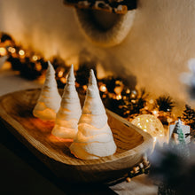 Load image into Gallery viewer, Winter Wonderland Luminaries, Set of Three
