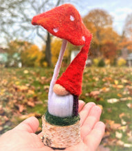 Load image into Gallery viewer, Axton, The Garden Gnome