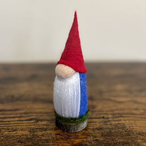 Aerin, The Elder Gnome
