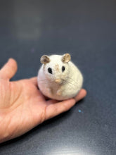 Load image into Gallery viewer, Auka the felted hamster (commissioned piece for Penny Dunn)