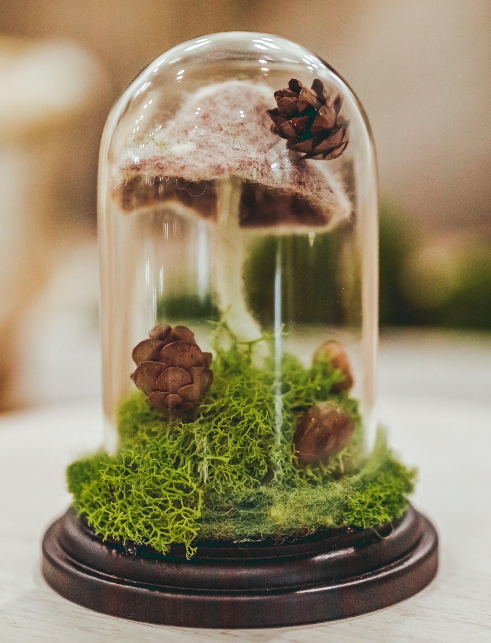 cloche terrarium plants Forest Floor Terrarium Cloche – MJ and Me