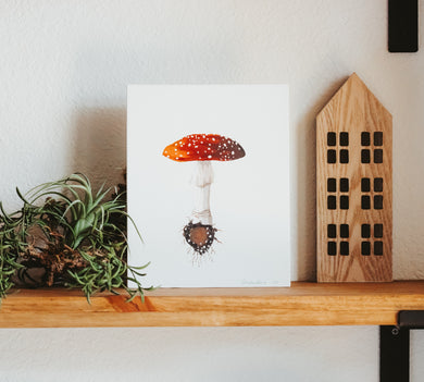 Toadstool Wall Art, handpainted