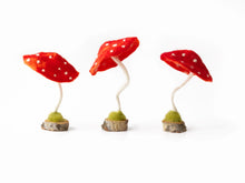 Load image into Gallery viewer, Felted Forest Toadstool