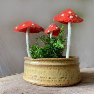Felted Forest Toadstool